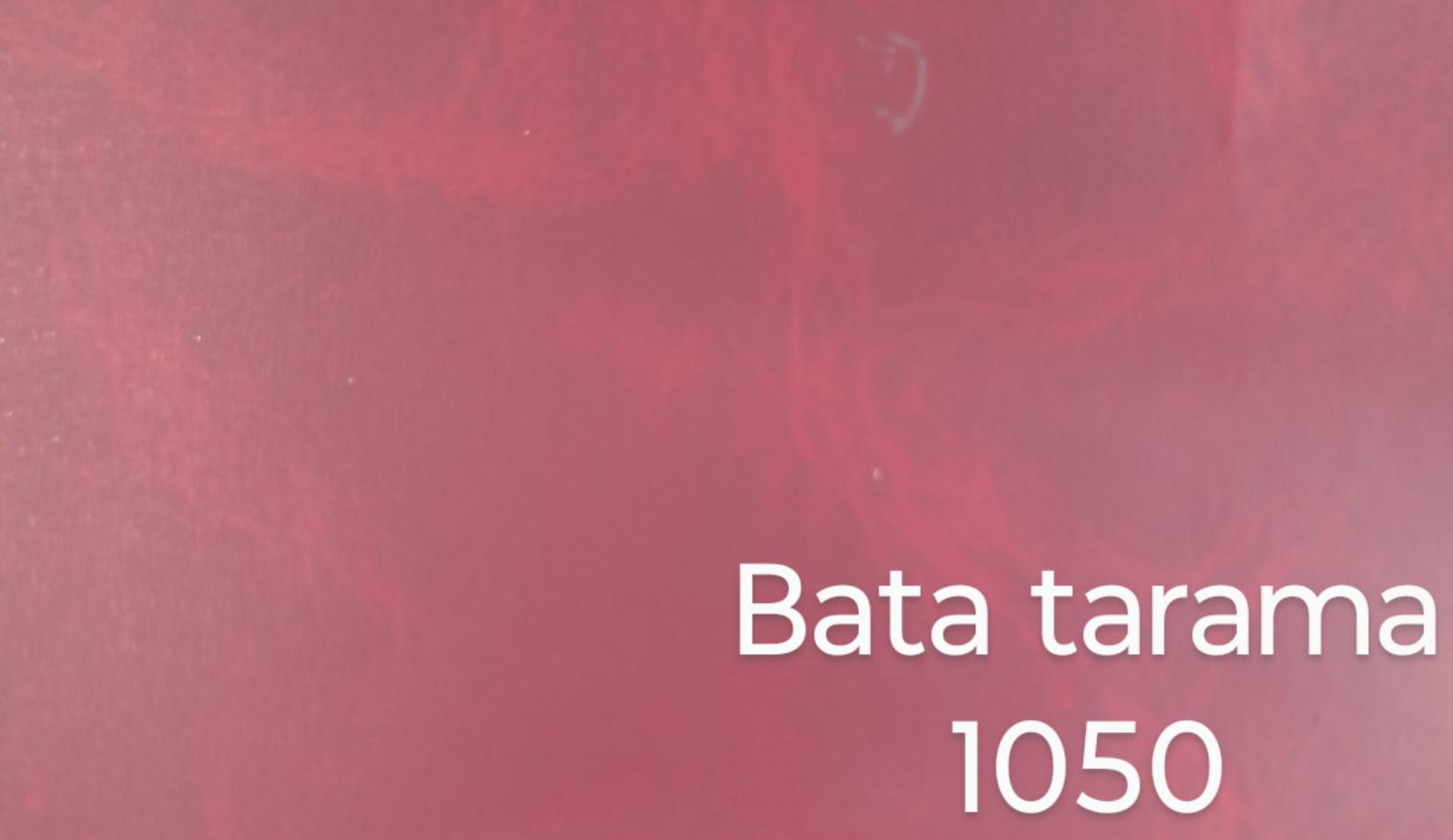 Bata tarama 4