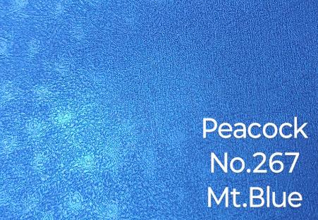 Mt. Blue
