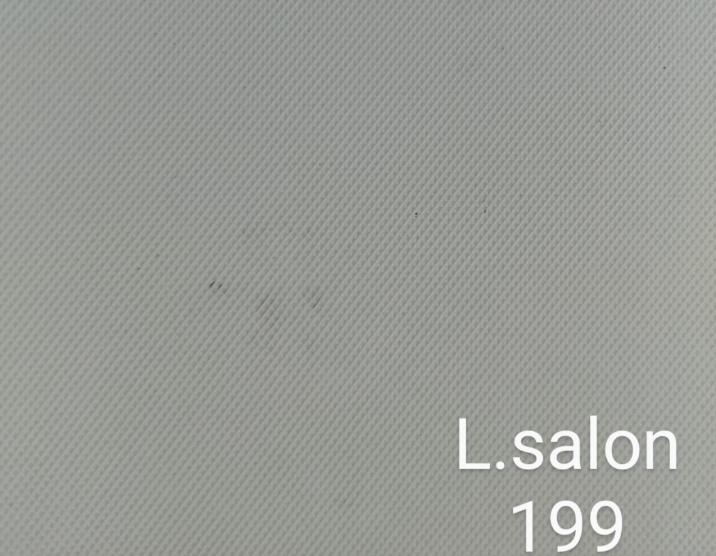 L.salon